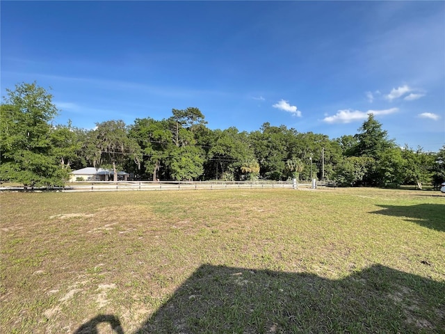 13430 NE 30th Ct, Anthony, FL 32617 - view of yard with a forest view