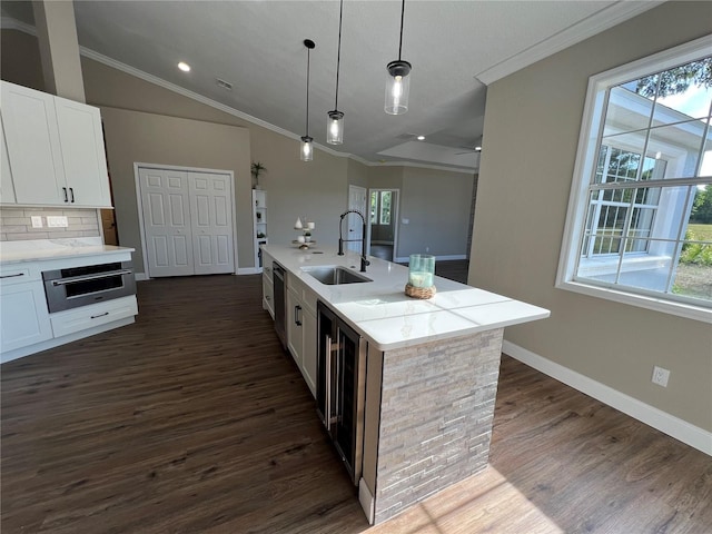 13430 NE 30th Ct, Anthony, FL 32617 - kitchen with a sink, ornamental molding, plenty of natural light, white cabinets, and dark wood-style flooring