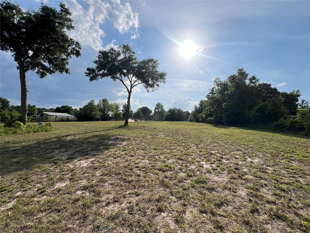 13430 NE 30th Ct, Anthony, FL 32617 - view of green lawn with a view of countryside