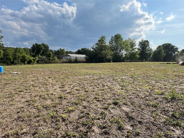 13430 NE 30th Ct, Anthony, FL 32617 - view of yard