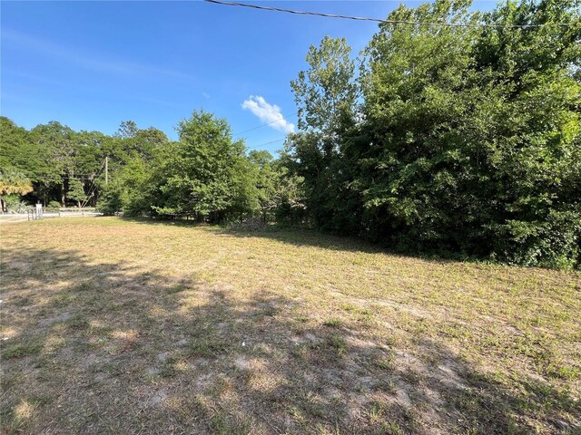 13430 NE 30th Ct, Anthony, FL 32617 - view of green lawn