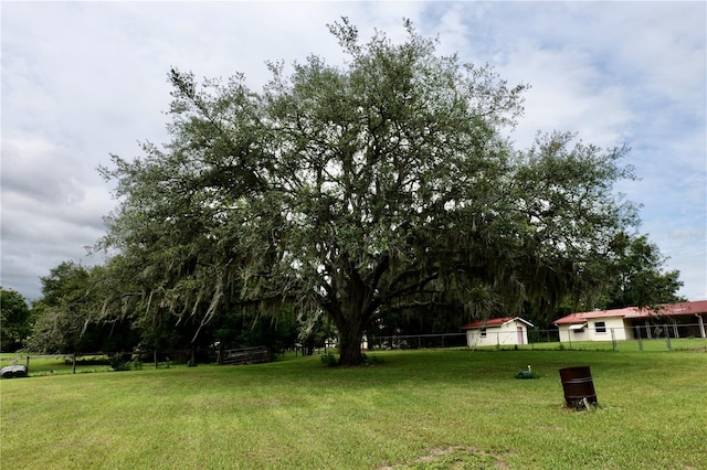16850 SE 19th Ct, Summerfield, FL 34491 - view of yard