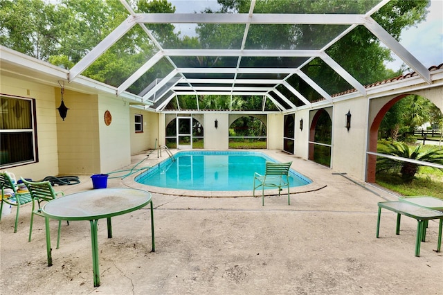 16850 SE 19th Ct, Summerfield, FL 34491 - swimming pool featuring a patio area and a lanai