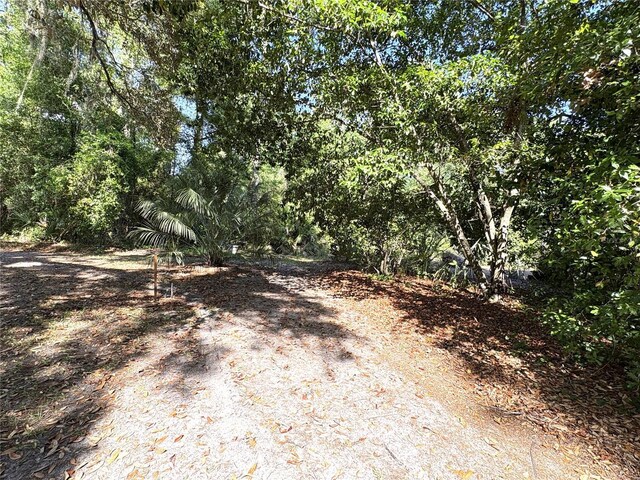 view of local wilderness