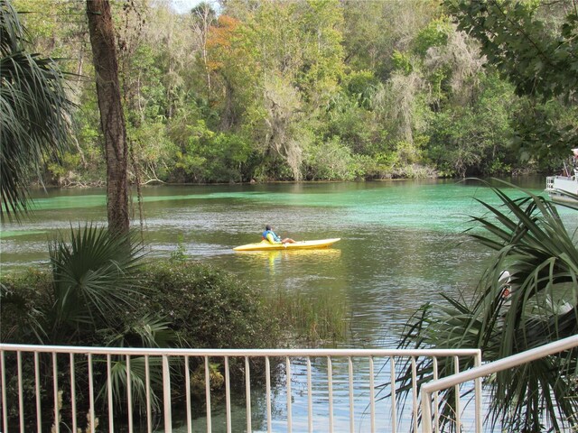 water view with a wooded view