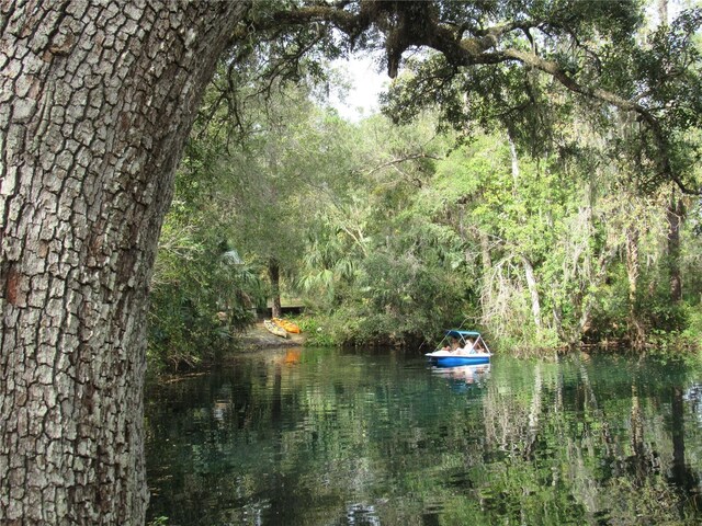 water view featuring a forest view