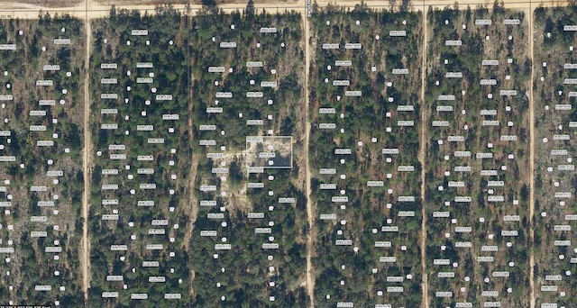 00 SW 55th Ave, Interlachen FL, 32148 land for sale