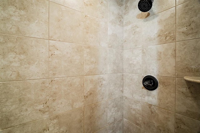 interior details with tiled shower