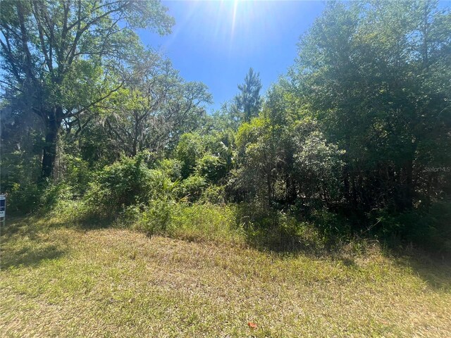 6610 N Shorewood Dr, Hernando, FL 34442 - photo 1