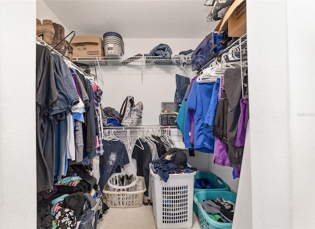 spacious closet featuring carpet flooring