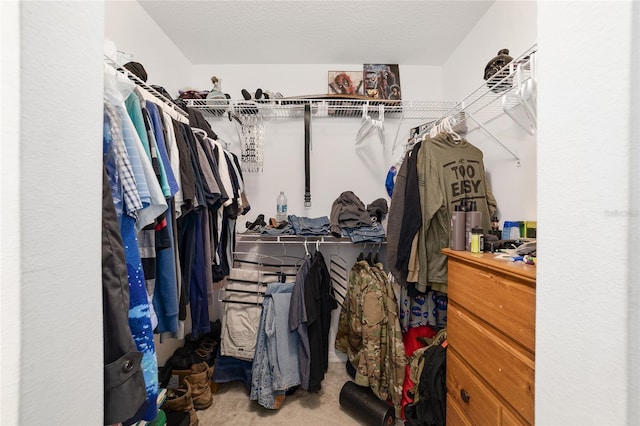 spacious closet with carpet floors