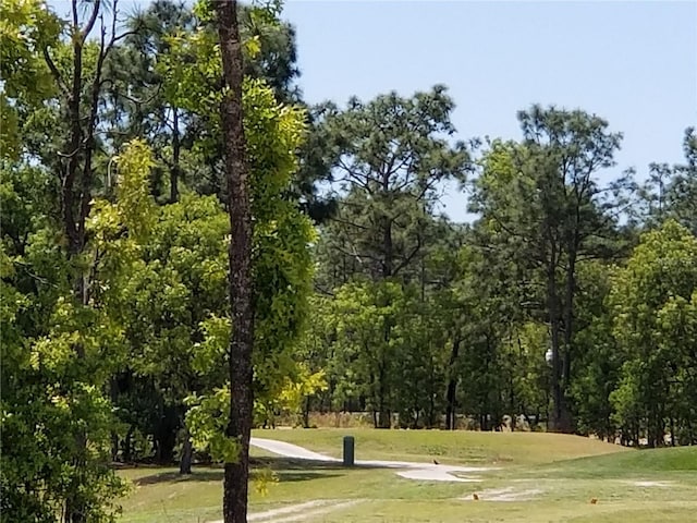 view of community featuring a lawn