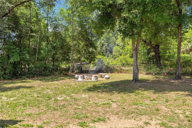 6306 Pecan Crse, Ocala, FL 34472 - view of grassy yard featuring a forest view