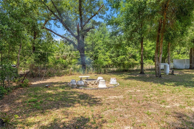 6306 Pecan Crse, Ocala, FL 34472 - view of green lawn