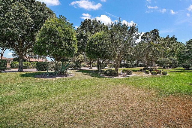 view of community with a lawn