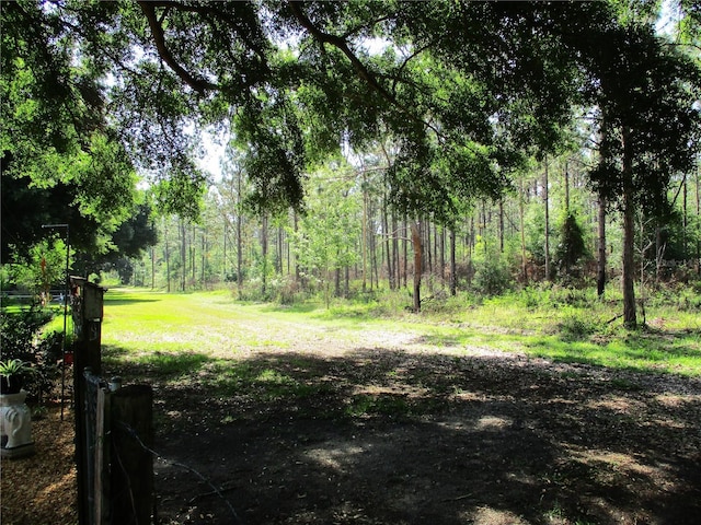 view of yard with a wooded view