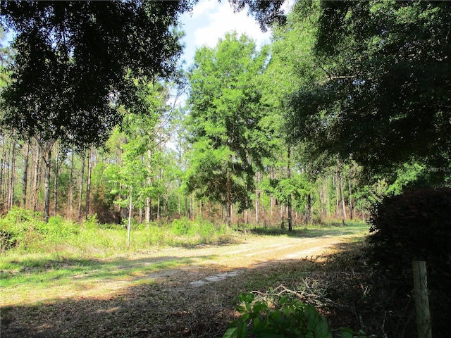 view of landscape featuring a view of trees