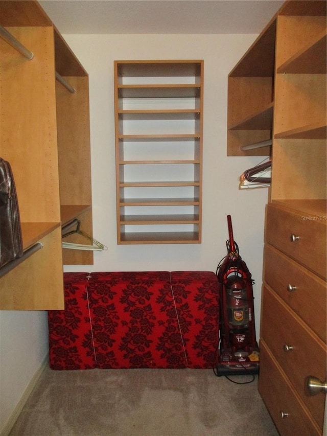 spacious closet featuring carpet flooring