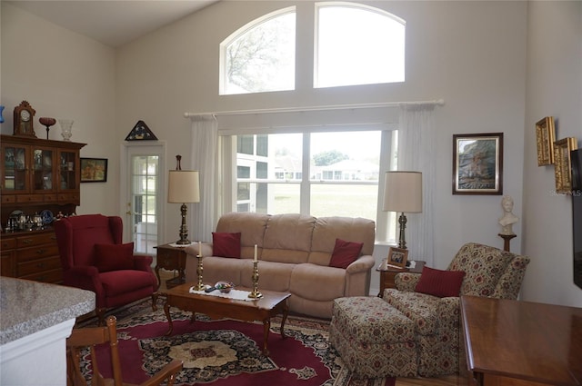 living area featuring a towering ceiling