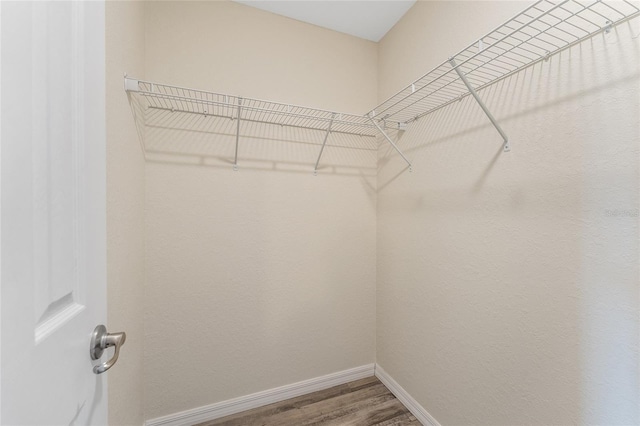 69 Juniper Trail Loop, Ocala, FL 34480 - walk in closet with wood finished floors