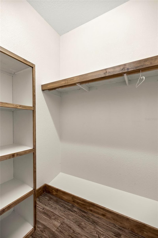 walk in closet featuring wood finished floors