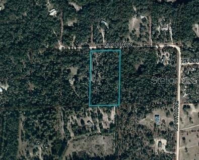10990 NE 128th Ln, Archer FL, 32618 land for sale