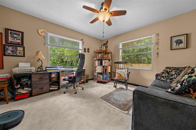 4710 SE 30th Ct, Ocala, FL 34480 - office featuring carpet floors, a ceiling fan, and a healthy amount of sunlight