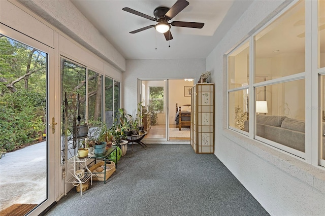 sunroom with carpet