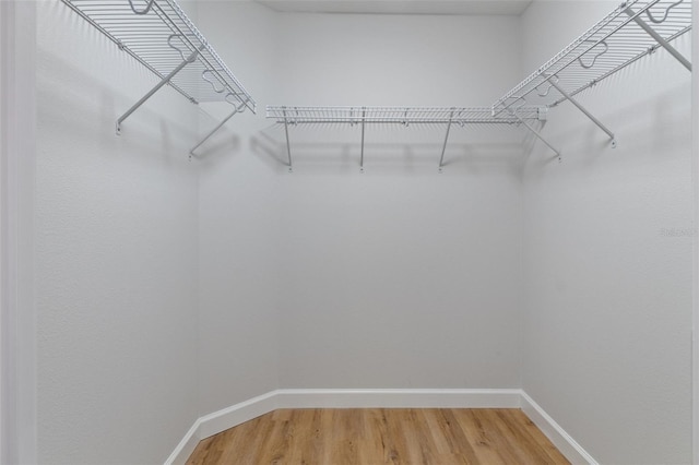 spacious closet featuring light wood-style flooring