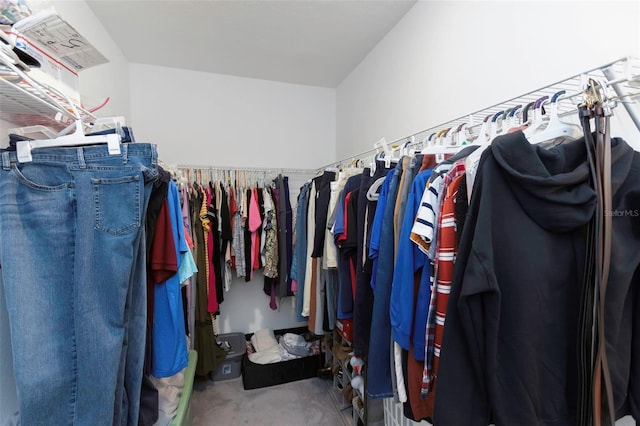 view of walk in closet