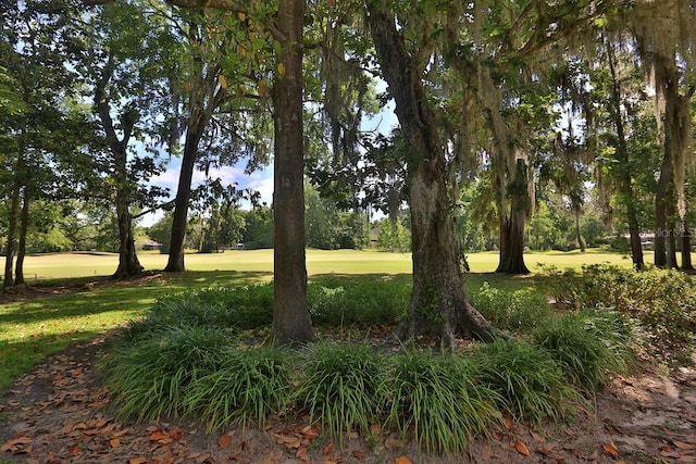 7939 SE 12th Cir, Ocala, FL 34480 - photo 42
