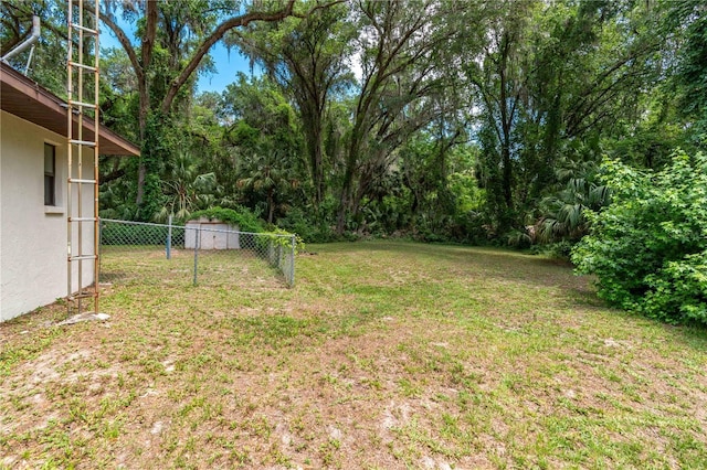 1406 SE Wacahoota Rd, Micanopy, FL 32667 - view of yard