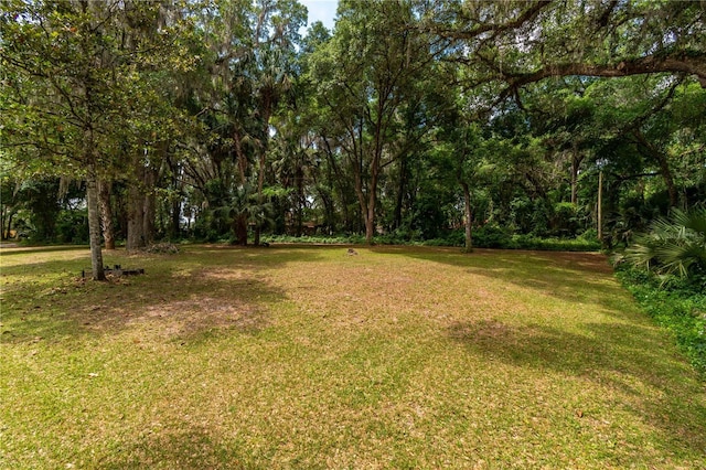 1406 SE Wacahoota Rd, Micanopy, FL 32667 - view of green lawn