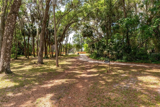1406 SE Wacahoota Rd, Micanopy, FL 32667 - view of dirt / gravel road