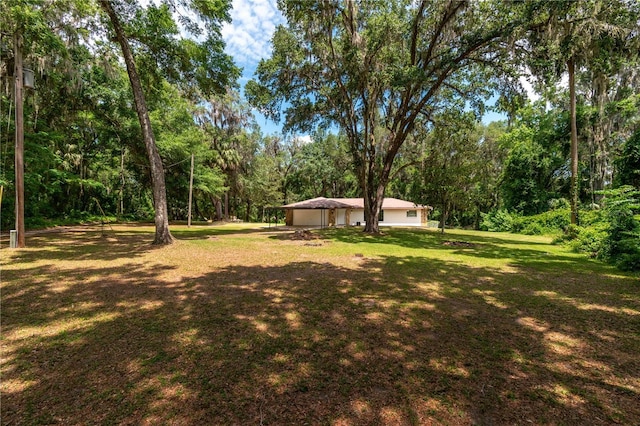 1406 SE Wacahoota Rd, Micanopy, FL 32667 - view of grassy yard featuring a forest view