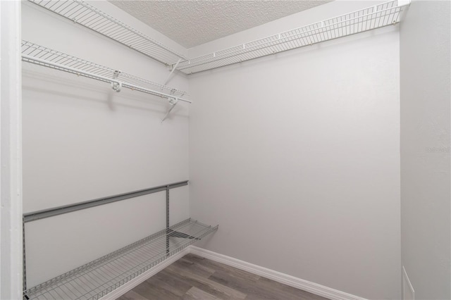 1406 SE Wacahoota Rd, Micanopy, FL 32667 - spacious closet featuring wood finished floors