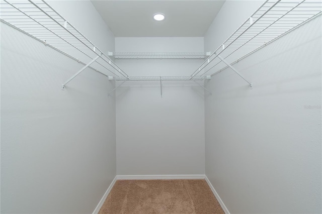 1406 SE Wacahoota Rd, Micanopy, FL 32667 - walk in closet with carpet floors