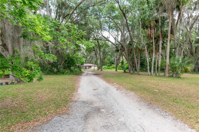 1406 SE Wacahoota Rd, Micanopy, FL 32667 - view of dirt / gravel road
