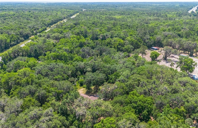 1406 SE Wacahoota Rd, Micanopy, FL 32667 - drone / aerial view of a forest