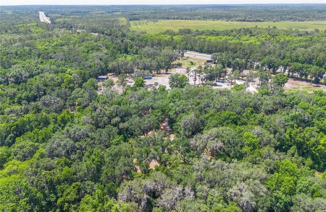 1406 SE Wacahoota Rd, Micanopy, FL 32667 - aerial view of property and surrounding area featuring a forest