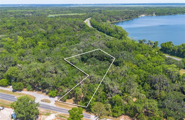 1406 SE Wacahoota Rd, Micanopy, FL 32667 - aerial view of property's location with a forest, a large body of water, and property boundaries highlighted