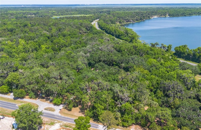 1406 SE Wacahoota Rd, Micanopy, FL 32667 - aerial view of property's location featuring a heavily wooded area and a large body of water