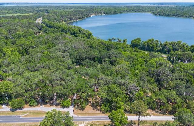 1406 SE Wacahoota Rd, Micanopy, FL 32667 - aerial view of property and surrounding area with a heavily wooded area and a nearby body of water