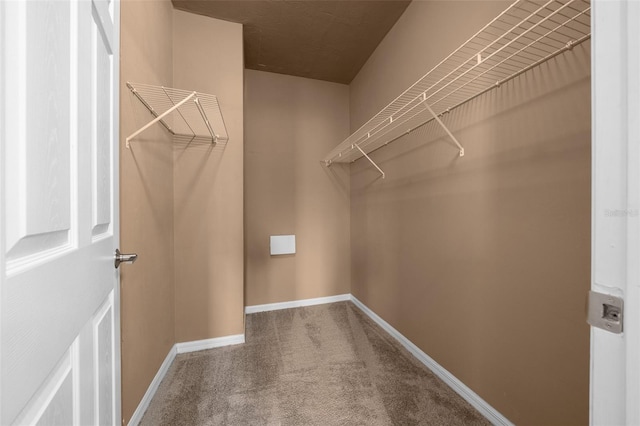 walk in closet featuring carpet flooring