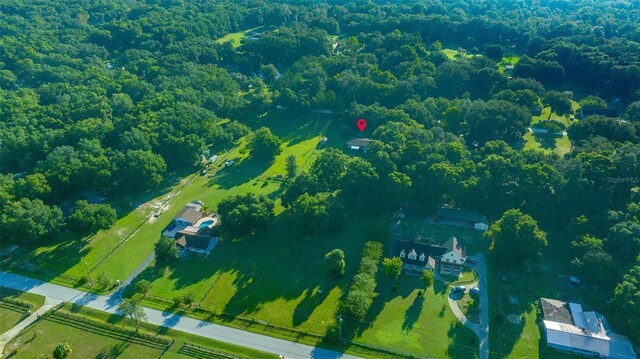 13232 NE 39th Ter, Anthony, FL 32617 - bird's eye view