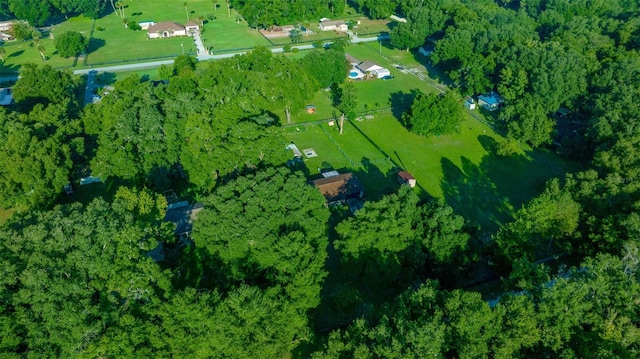 13232 NE 39th Ter, Anthony, FL 32617 - bird's eye view
