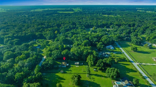 13232 NE 39th Ter, Anthony, FL 32617 - birds eye view of property featuring a view of trees