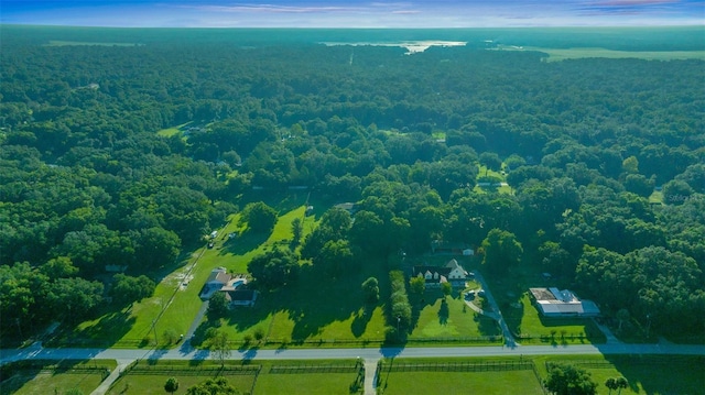 13232 NE 39th Ter, Anthony, FL 32617 - drone / aerial view featuring a view of trees