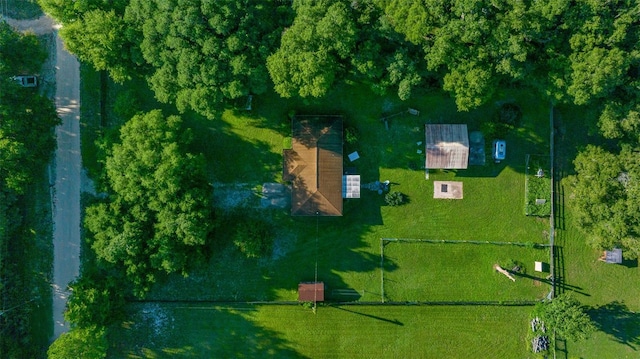 13232 NE 39th Ter, Anthony, FL 32617 - birds eye view of property
