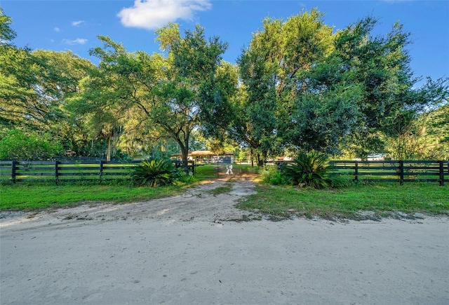 13232 NE 39th Ter, Anthony, FL 32617 - view of road with dirt driveway, a rural view, and a gated entry